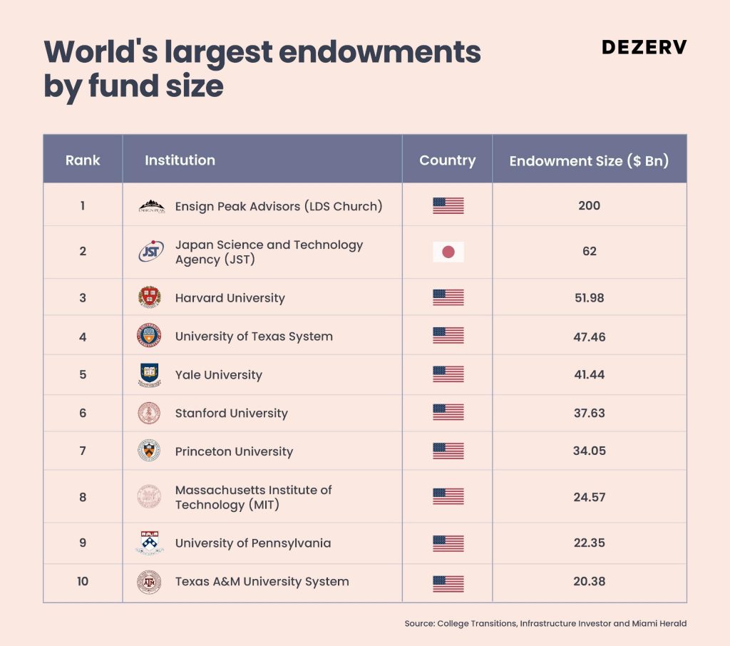 resized endowment fund chart
